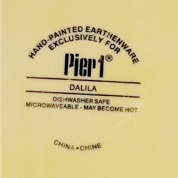 Pier 1 Dalila 10” Square Dinner Plate Hand Painted Earthenware Replacement - Picture 9 of 9